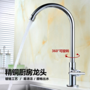 莱尔诗丹（Larsd）DL-05厨房水龙头 单冷龙头 全铜厨房洗菜盆水槽洗衣池拖布池龙头