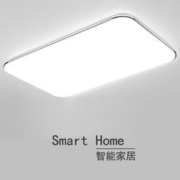 shijiang 仕匠 客厅灯具led吸顶灯 60*40cm-三色变光72W