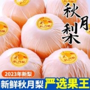 甘福园 正宗秋月梨 10斤