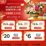 促销活动：京东 PLUS会员鲜花特权 每月尊享一次 9.9包邮定制鲜花/绿植