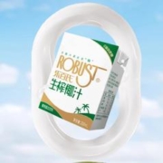 乐百氏0糖椰汁植物蛋白饮料200ml*10