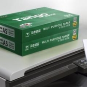 TANGO 天章 新绿天章 空白凭证打印纸 A5/70g 500张/包