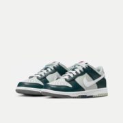耐克（NIKE）NIKE DUNK LOW (GS) FB9109-300 37.5