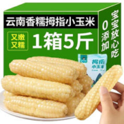 初灿 云南西双版纳 拇指小玉米 香糯 净重5斤