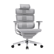 迩高迈思（Ergomax）Evolution2人体工学电脑椅网椅家用办公椅子电竞椅游戏椅 雅典全灰 无畅躺架