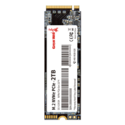 长城 (Great Wall) 1TB SSD固态硬盘 M.2接口(NVMe协议 PCle 3.0) P300系列
