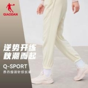 QIAODAN 乔丹 中国乔丹运动长裤女士2023冬季新款宽松加绒针织女士休闲卫裤裤子