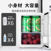 SAST车载冰箱4L迷你小冰箱车家两用mini美妆专用母乳冷藏宿舍单人用