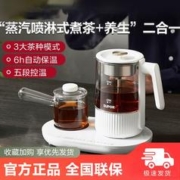 SUPOR 苏泊尔 0.8L蒸汽喷淋式蒸茶壶多段保温电水壶煮茶器SW-08C10
