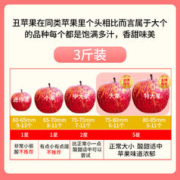 誉福园 大凉山丑苹果冰糖心盐源水果新鲜当季红富士10斤整箱包邮萍果孕妇