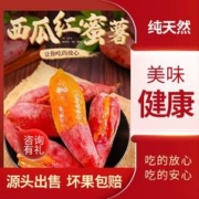 新农理想 河南沙地蜜薯糖心 5斤装