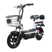 五星钻豹电动车 新国标电瓶车48V20AH电动自行车 A4 plus源彩黑/星辰白