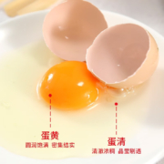 我老家 新鲜谷物鸡蛋40±5g 12枚