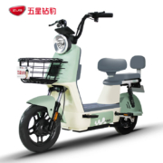 京东百亿补贴：ZUB 五星钻豹 B15 新国标电动自行车 TDT005Z