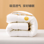 28日0点：BLISS 百丽丝 羊毛大豆抗菌冬被 200cm*230cm(适用1.5米床)