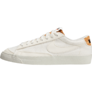 京东百亿补贴：耐克 nike 男子日常户外都市百搭休闲板鞋复刻鞋 DV7231-001 40