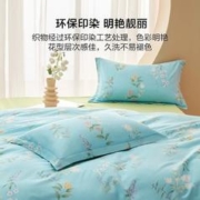 BLISS 百丽丝 床上四件套纯棉床上用品被套床单枕套双人全棉被罩套件1.5米床四件套适配200*230cm被芯
