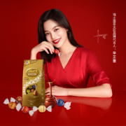 20点开始：Lindt 瑞士莲 进口软心牛奶巧克力球黑巧榛仁 600g