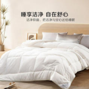 BLISS 百丽丝 棉被棉花被新疆棉花被芯秋冬保暖加厚被子 冬被 200cm*230cm