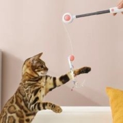 限移动端、京东百亿补贴：Hoopet 引力激光逗猫棒 自嗨猫玩具
