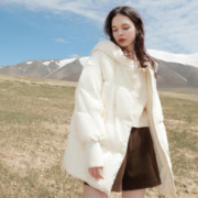 3COLOUR 三彩 中长白鹅绒连帽羽绒服 D384Z2220Y1006