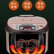 EROSHEBO 艾罗赫柏 多功能料理锅炖蒸煮一体多层电蒸锅