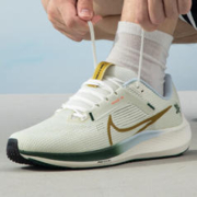 NIKE 耐克 男鞋冬季 40运动鞋跑步鞋FV3631-081 FV3631-081 42