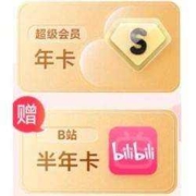 Baidu 百度 网盘 SVIP超级会员 12个月+赠B站半年卡