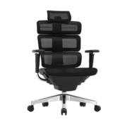 Ergomax Evolution2+人体工学电脑椅网椅家用办公椅子电竞椅游戏椅 EVO2 魅力黑