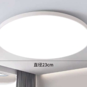 可签到：LIANGYIN 良印 led三防吸顶灯20W