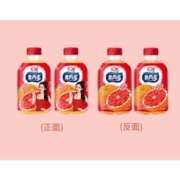汇源 果肉多果汁礼盒350ml*10瓶