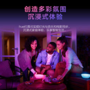 PHILIPS 飞利浦 Hue Go魔灯 床头灯 蓝牙便携led灯拾音灯 1600万色HomeKit