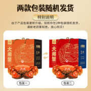 XIAN YAO 鱻谣 大闸蟹鲜活螃蟹 全公4.8-5.1两 8只装 生鲜活蟹中秋礼品礼盒现货