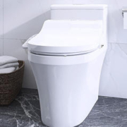 20点开始：Panasonic 松下 DL-5209CWS 智能马桶盖