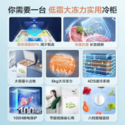容声(Ronshen) 100升 冷藏冷冻转换冰柜 一级能效单温柜BD/BC-100MB