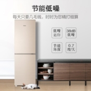 Haier海尔冰箱家用冷冻冰柜DEO净味保鲜双开门迷你小型出租房二门保温冷藏冷冻电冰箱 190升彩晶玻璃2级