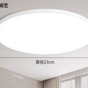 阅艺 LED 吸顶灯 20W