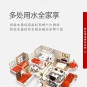 Rinnai 林内 16升燃气热水器零干扰恒温防冻家用天然气水量伺服器16QD06