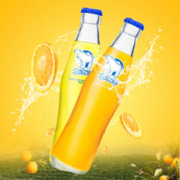 北冰洋 汽水 桔汁248ml*12瓶
