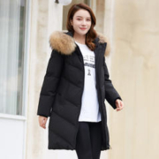 冰洁BENGEN 女士中长款羽绒服 J20143358F