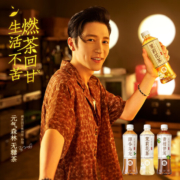 元气森林 青柑普洱/茉莉/醇香乌龙 燃茶500ml*15瓶