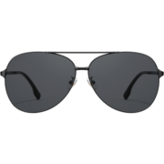 帕森（PARZIN）偏光太阳镜型男经典蛤蟆镜安全驾驶墨镜8131A黑框黑灰片