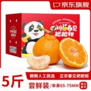 限移动端、京东百亿补贴：春福乐 四川春见耙耙柑 新鲜柑橘粑粑柑水果礼盒 5斤品质尝鲜装