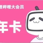 哔哩哔哩 大会员1年12个月