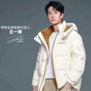 王一博同款，鸭鸭 情侣款冬季90%鸭绒连帽羽绒服 多色