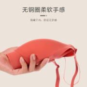 FENTENG 芬腾 女士无痕内衣 120G6656