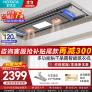 HOTATA 好太太 D-3181sj 电动智能晾衣架