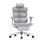 Ergomax Evolution2+人体工学电脑椅网椅家用办公椅子电竞椅游戏椅 EVO2 雅典灰带畅躺架