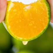 湖南麻阳冰糖橙 1颗