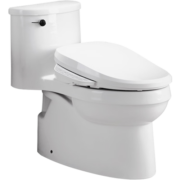 科勒（KOHLER）智能马桶坐便器全功能加热马桶2级水效305坑距座便器 5171+18649